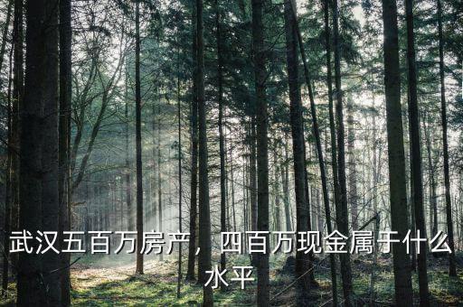 武漢五百萬(wàn)房產(chǎn)，四百萬(wàn)現(xiàn)金屬于什么水平