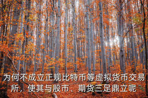 為何不成立正規(guī)比特幣等虛擬貨幣交易所，使其與股市、期貨三足鼎立呢