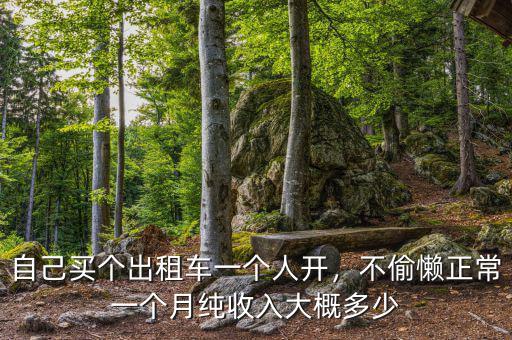 自己買個(gè)出租車一個(gè)人開，不偷懶正常一個(gè)月純收入大概多少