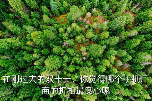 在剛過去的雙十一，你覺得哪個(gè)手機(jī)廠商的折扣最良心呢
