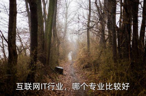 互聯(lián)網(wǎng)什么專(zhuān)業(yè),學(xué)互聯(lián)網(wǎng)技術(shù)什么專(zhuān)業(yè)好點(diǎn)