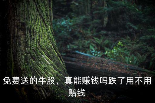 免費送的牛股，真能賺錢嗎跌了用不用賠錢