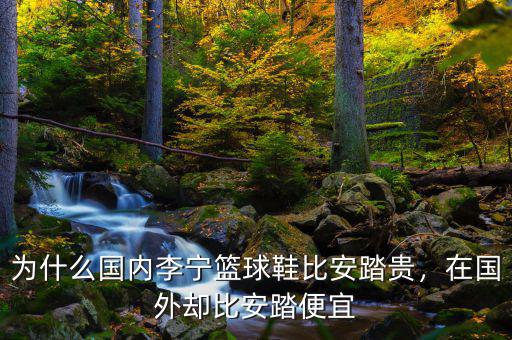 為什么國(guó)內(nèi)李寧籃球鞋比安踏貴，在國(guó)外卻比安踏便宜