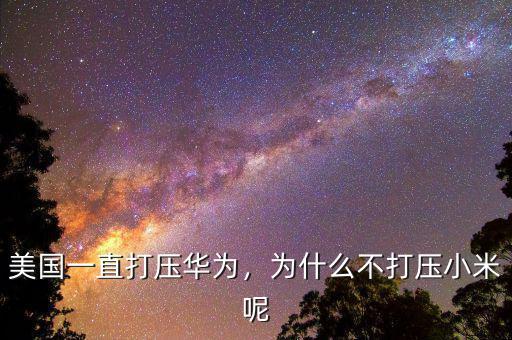 美國(guó)一直打壓華為，為什么不打壓小米呢