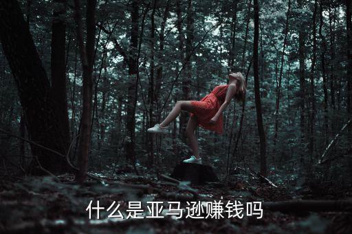 什么是亞馬遜賺錢(qián)嗎