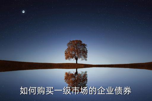 如何購(gòu)買(mǎi)一級(jí)市場(chǎng)的企業(yè)債券