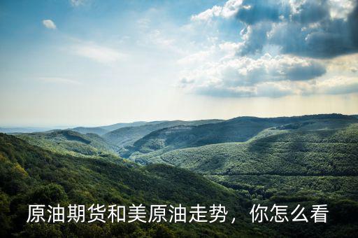 原油期貨和美原油走勢，你怎么看