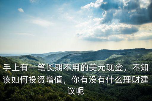 手上有一筆長(zhǎng)期不用的美元現(xiàn)金，不知該如何投資增值，你有沒(méi)有什么理財(cái)建議呢