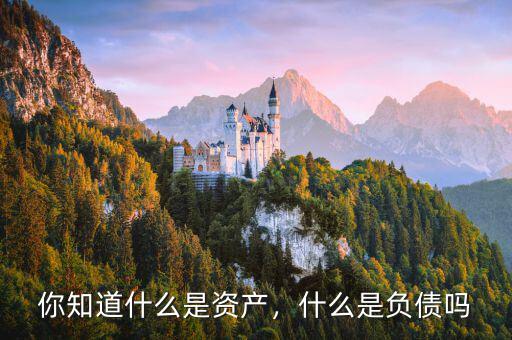你知道什么是資產(chǎn)，什么是負債嗎
