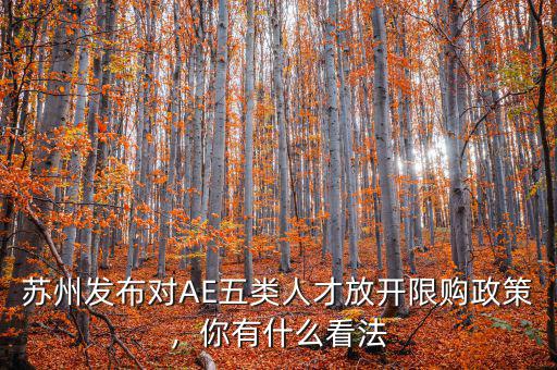 蘇州發(fā)布對AE五類人才放開限購政策，你有什么看法