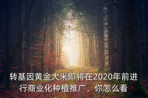 轉(zhuǎn)基因黃金大米即將在2020年前進(jìn)行商業(yè)化種植推廣，你怎么看