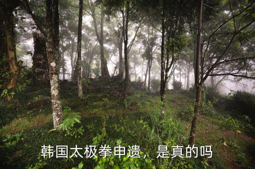 韓國太極拳申遺，是真的嗎