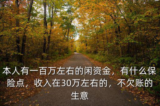 本人有一百萬左右的閑資金，有什么保險(xiǎn)點(diǎn)，收入在30萬左右的，不欠賬的生意