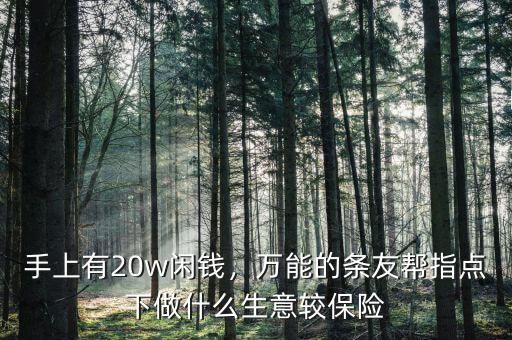 手上有20w閑錢，萬能的條友幫指點(diǎn)下做什么生意較保險(xiǎn)