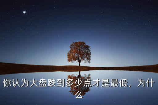 你認(rèn)為大盤跌到多少點才是最低，為什么