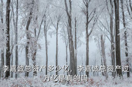 李嘉誠(chéng)總資產(chǎn)多少億，李嘉誠(chéng)總資產(chǎn)過萬(wàn)億是真的嗎