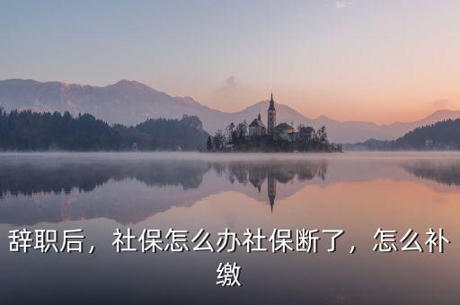 辭職后，社保怎么辦社保斷了，怎么補繳