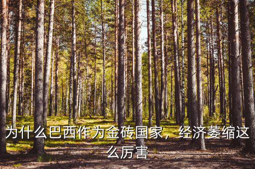 巴西經濟什么時間好轉,98年巴西經濟經歷了什么