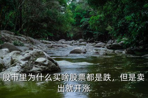 為什么賣(mài)出就會(huì)漲,為什么股票賣(mài)掉就漲