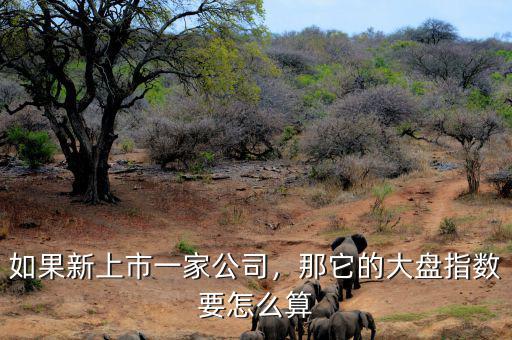 如果新上市一家公司，那它的大盤指數(shù)要怎么算