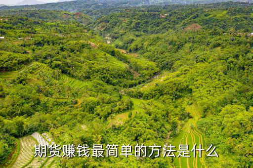 期貨是什么怎么賺錢(qián),期貨賺錢(qián)最簡(jiǎn)單的方法是什么