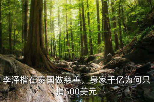 李澤楷在泰國做慈善，身家千億為何只捐500美元