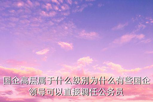 國企高層屬于什么級別為什么有些國企領(lǐng)導可以直接調(diào)任公務(wù)員