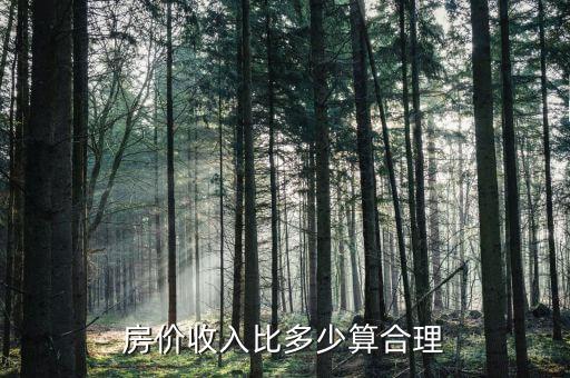 房?jī)r(jià)與工資比多少合理,請(qǐng)問大家覺得年收入與房?jī)r(jià)