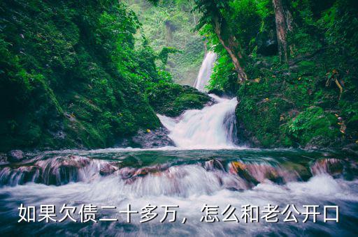 如果欠債二十多萬(wàn)，怎么和老公開口