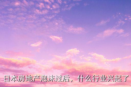 日本房地產(chǎn)泡沫過后，什么行業(yè)興起了