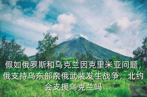 假如俄羅斯和烏克蘭因克里米亞問題，俄支持烏東部親俄武裝發(fā)生戰(zhàn)爭(zhēng)，北約會(huì)支援烏克蘭嗎