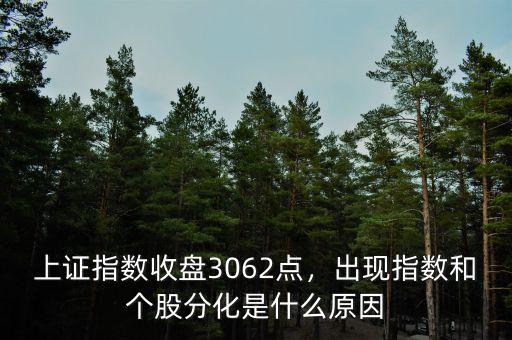 上證指數(shù)收盤3062點，出現(xiàn)指數(shù)和個股分化是什么原因