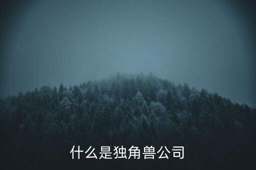 小米公司第六輪融資什么時候,什么是獨(dú)角獸公司