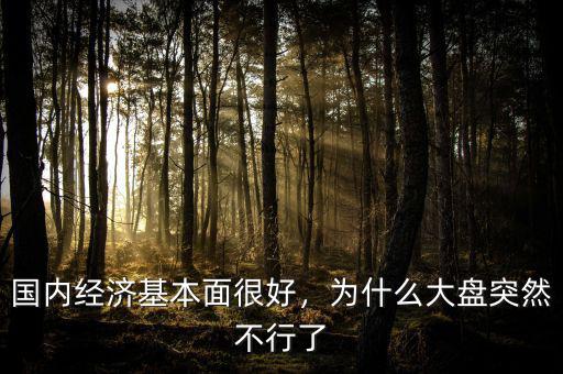 國內經(jīng)濟基本面很好，為什么大盤突然不行了