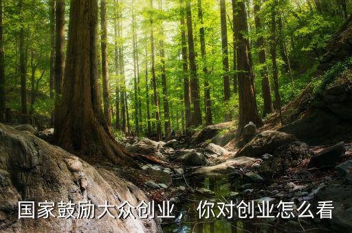 國家鼓勵大眾創(chuàng)業(yè)，你對創(chuàng)業(yè)怎么看
