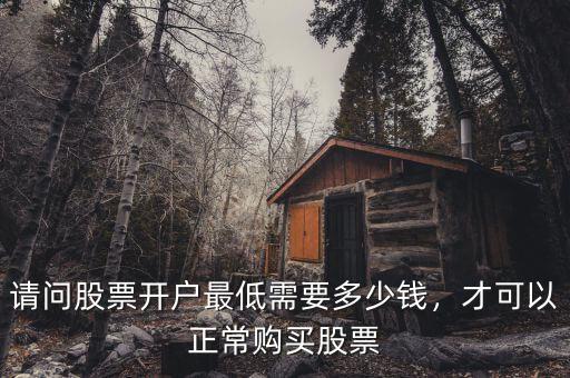 請(qǐng)問(wèn)股票開(kāi)戶(hù)最低需要多少錢(qián)，才可以正常購(gòu)買(mǎi)股票
