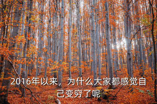 2016年以來，為什么大家都感覺自己變窮了呢