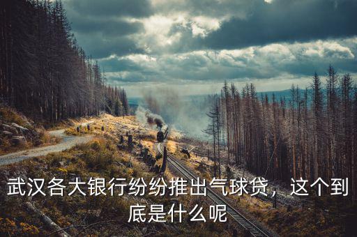 武漢各大銀行紛紛推出氣球貸，這個(gè)到底是什么呢