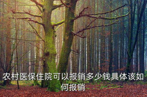 農醫(yī)保現(xiàn)在能報銷多少,具體該如何報銷
