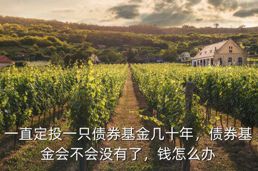 一直定投一只債券基金幾十年，債券基金會(huì)不會(huì)沒有了，錢怎么辦