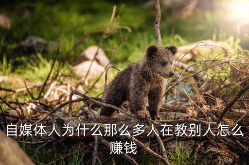 自媒體人為什么那么多人在教別人怎么賺錢(qián)