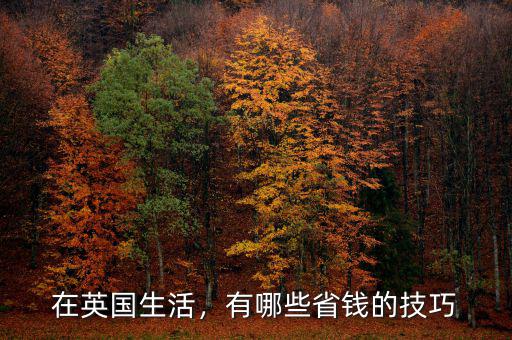 在英國生活，有哪些省錢的技巧