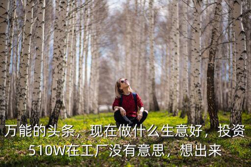 萬能的頭條，現(xiàn)在做什么生意好，投資510W在工廠沒有意思，想出來
