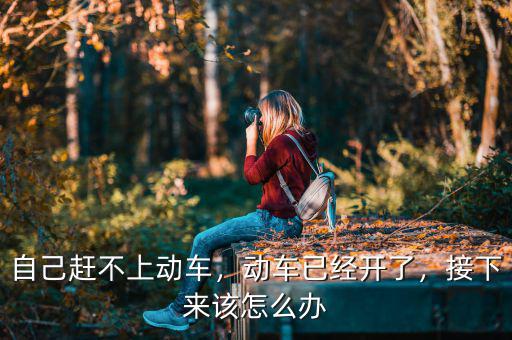 自己趕不上動車，動車已經(jīng)開了，接下來該怎么辦