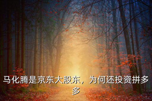 馬化騰是京東大股東，為何還投資拼多多