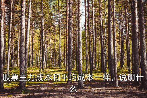 股票主力成本和平均成本一樣，說(shuō)明什么