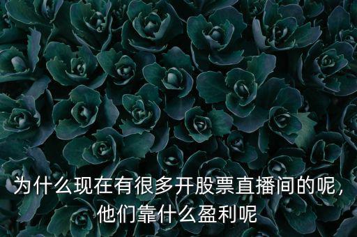 為什么現(xiàn)在有很多開股票直播間的呢，他們靠什么盈利呢