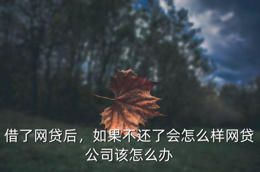 借了網(wǎng)貸后，如果不還了會怎么樣網(wǎng)貸公司該怎么辦