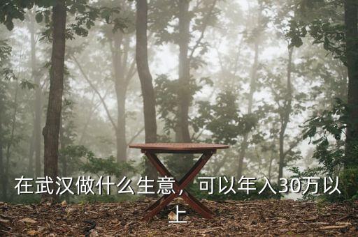 在武漢做什么生意，可以年入30萬(wàn)以上