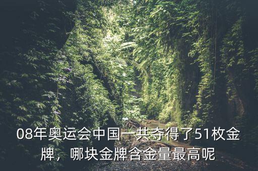 08年奧運(yùn)會(huì)中國(guó)一共奪得了51枚金牌，哪塊金牌含金量最高呢